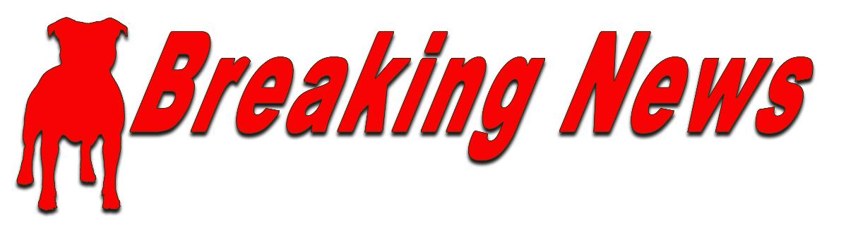 Report any news to email on link please 